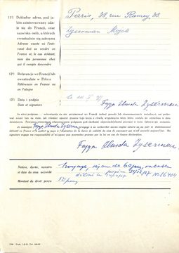zyserman_011.jpg