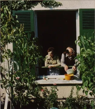 Pavillon