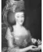 Portrait de Maria Teresa DE SAVOIE